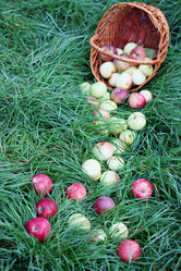 Similar image 7362098