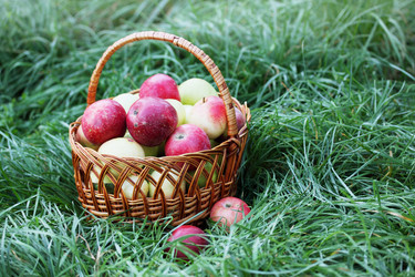 Similar image 7362100