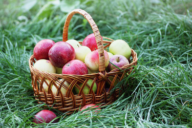 Similar image 7362102