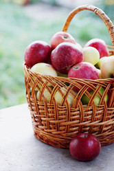 Similar image 7362104