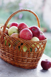 Similar image 7362105