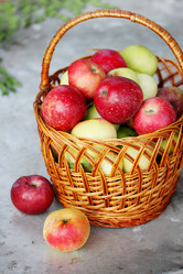 Similar image 7362106