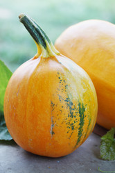 Similar image 7362127