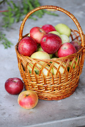 Similar image 7362287