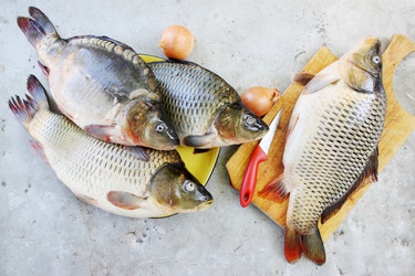 Similar image 7362345