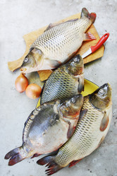 Similar image 7362346