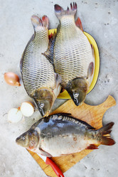 Similar image 7362347