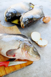 Similar image 7362350