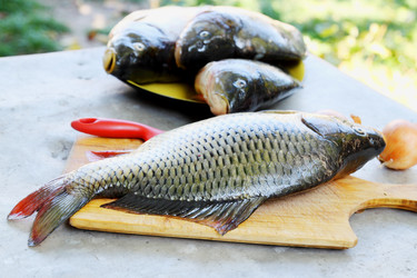 Similar image 7362355