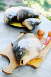 Similar image 7362356