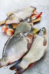 Similar image 7362364