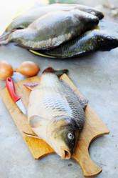 Similar image 7362366