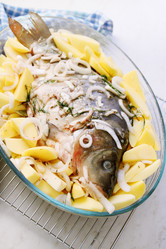 Similar image 7362401