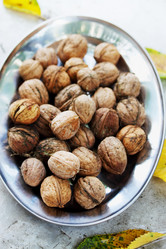 Similar image 7362547