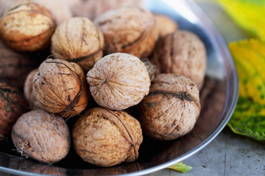 Similar image 7362553