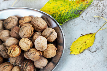 Similar image 7362591