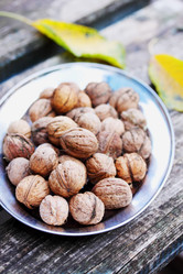 Similar image 7362599