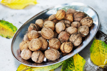 Similar image 7362603