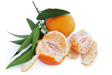 Similar image 7362607