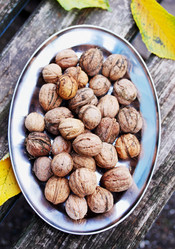 Similar image 7362617