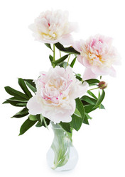 Similar image 7362648