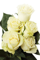 Similar image 7362649