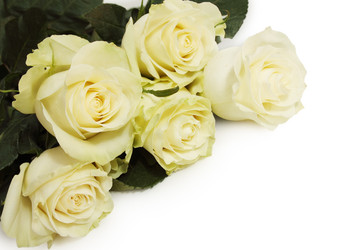 Similar image 7362653