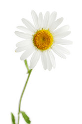 Similar image 7362659