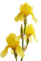 Similar image 7362660