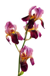 Similar image 7362661