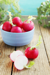 Similar image 7362768