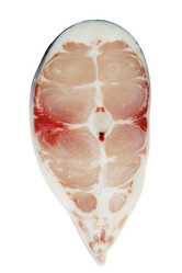 Similar image 7362771