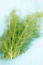 Similar image 7363063