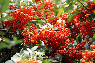 Similar image 7363067