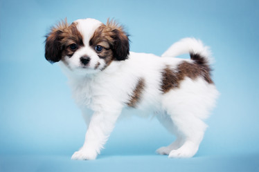 Similar image 7363891