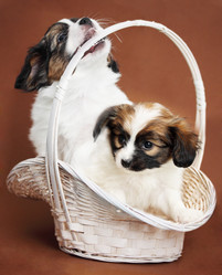 Similar image 7363897