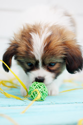 Similar image 7363903