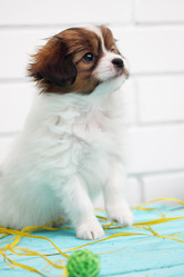 Similar image 7363906