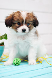 Similar image 7363907