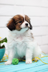 Similar image 7363908