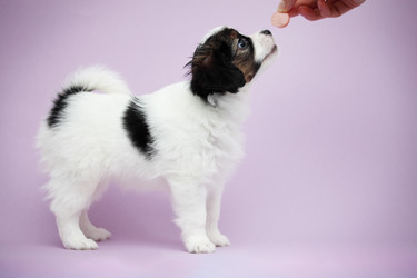 Similar image 7363926