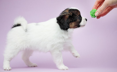 Similar image 7363927