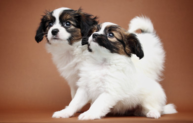 Similar image 7363930