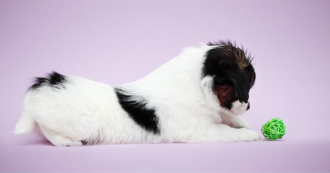 Similar image 7363932