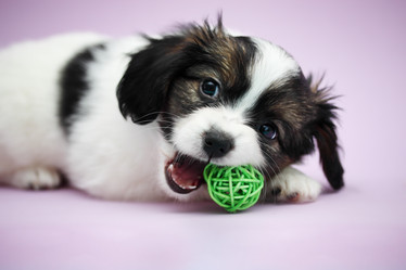 Similar image 7363933