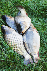 Similar image 7364304