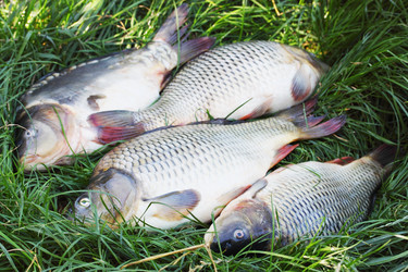 Similar image 7364307