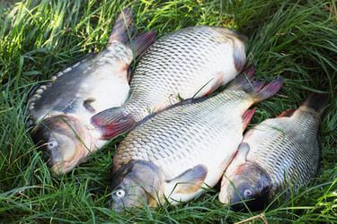 Similar image 7364308