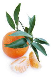 Similar image 7364316