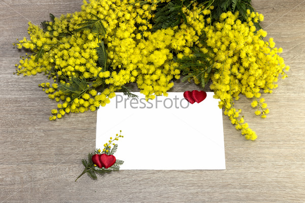 8 марта. Желтая мимоза и надпись для поздравительной открытки